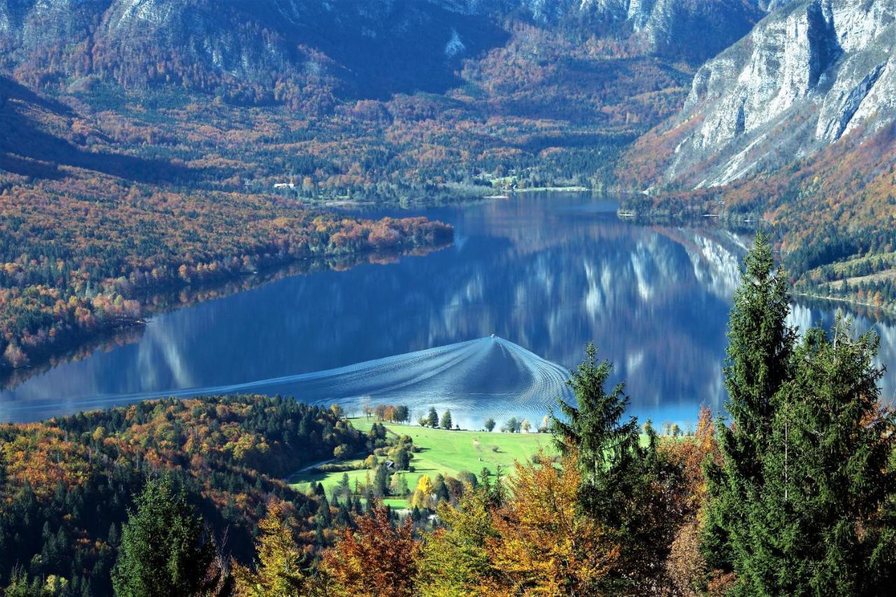 Cottage House Podgosar Bled Pokljuka 外观 照片