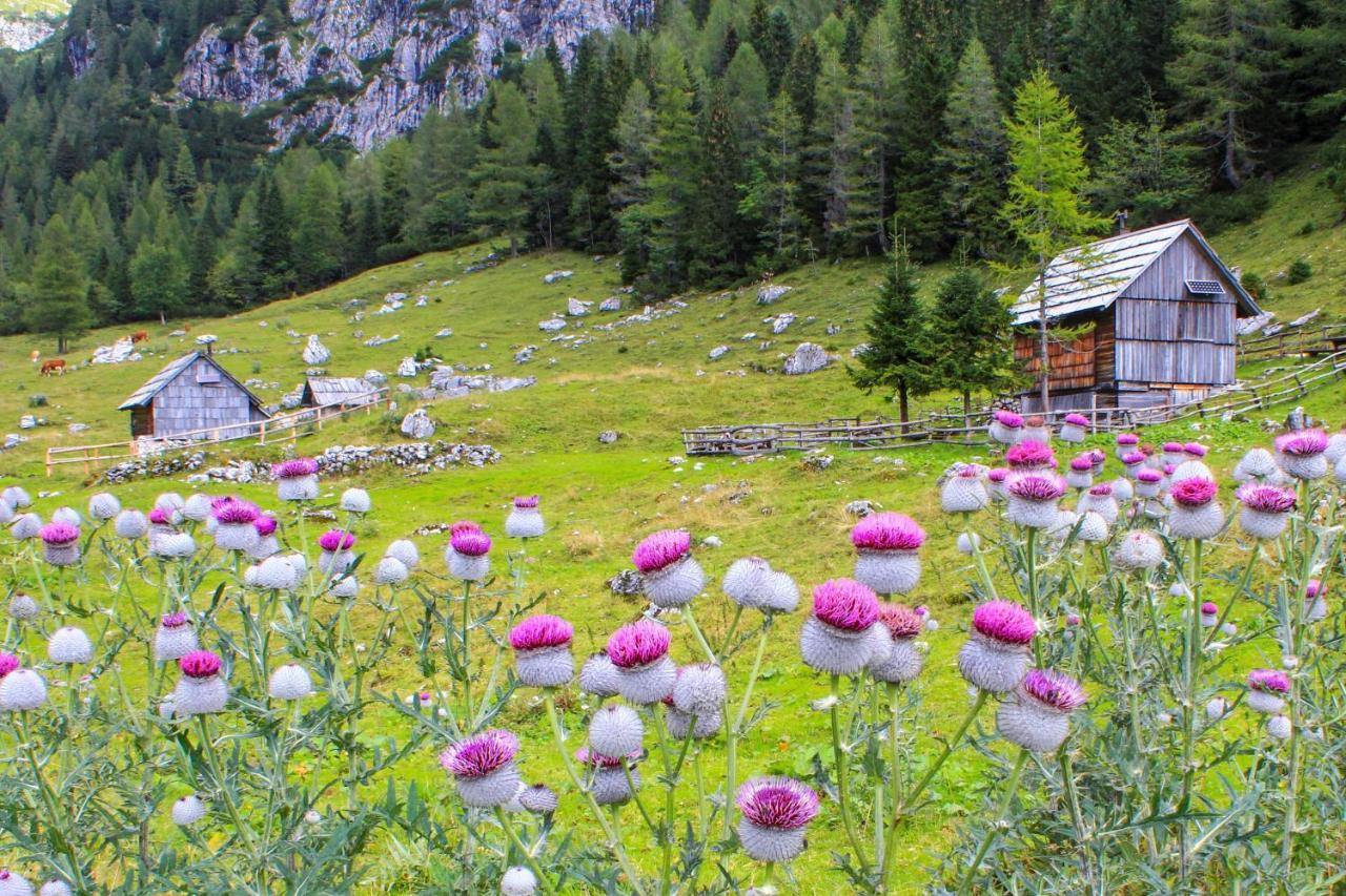 Cottage House Podgosar Bled Pokljuka 外观 照片