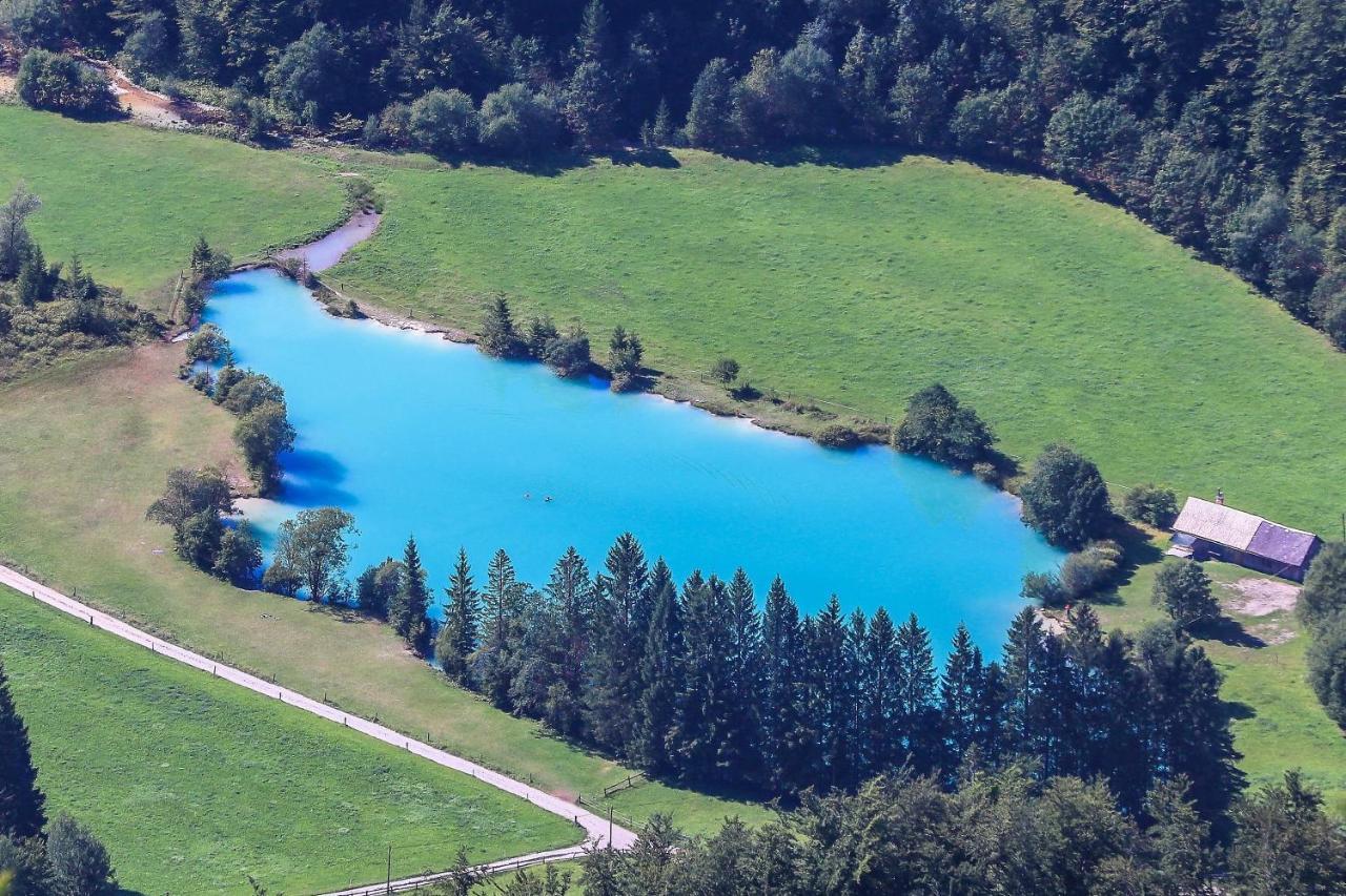Cottage House Podgosar Bled Pokljuka 外观 照片