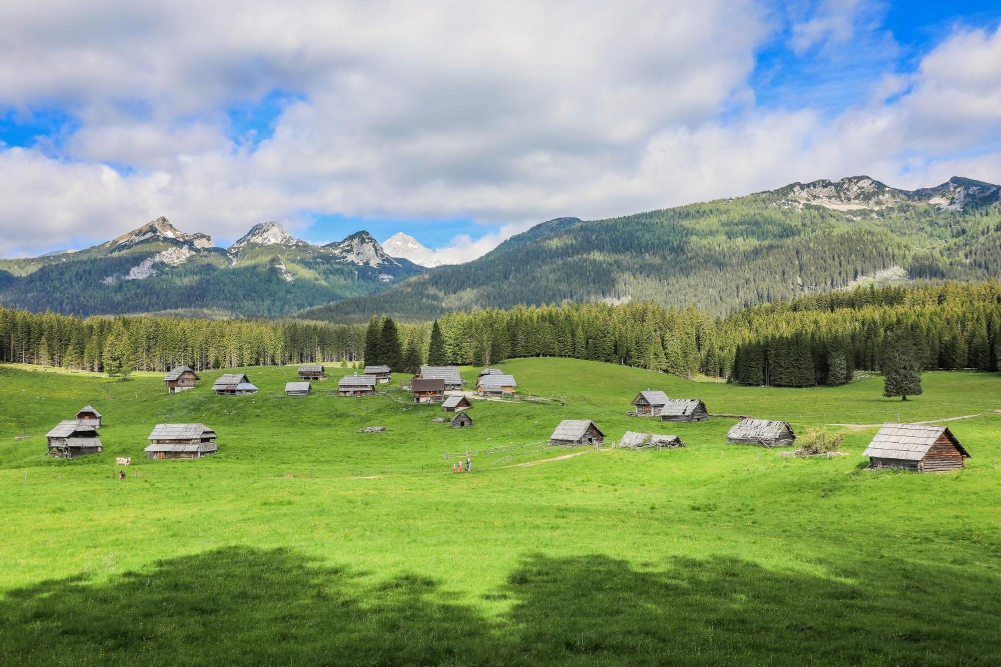 Cottage House Podgosar Bled Pokljuka 外观 照片