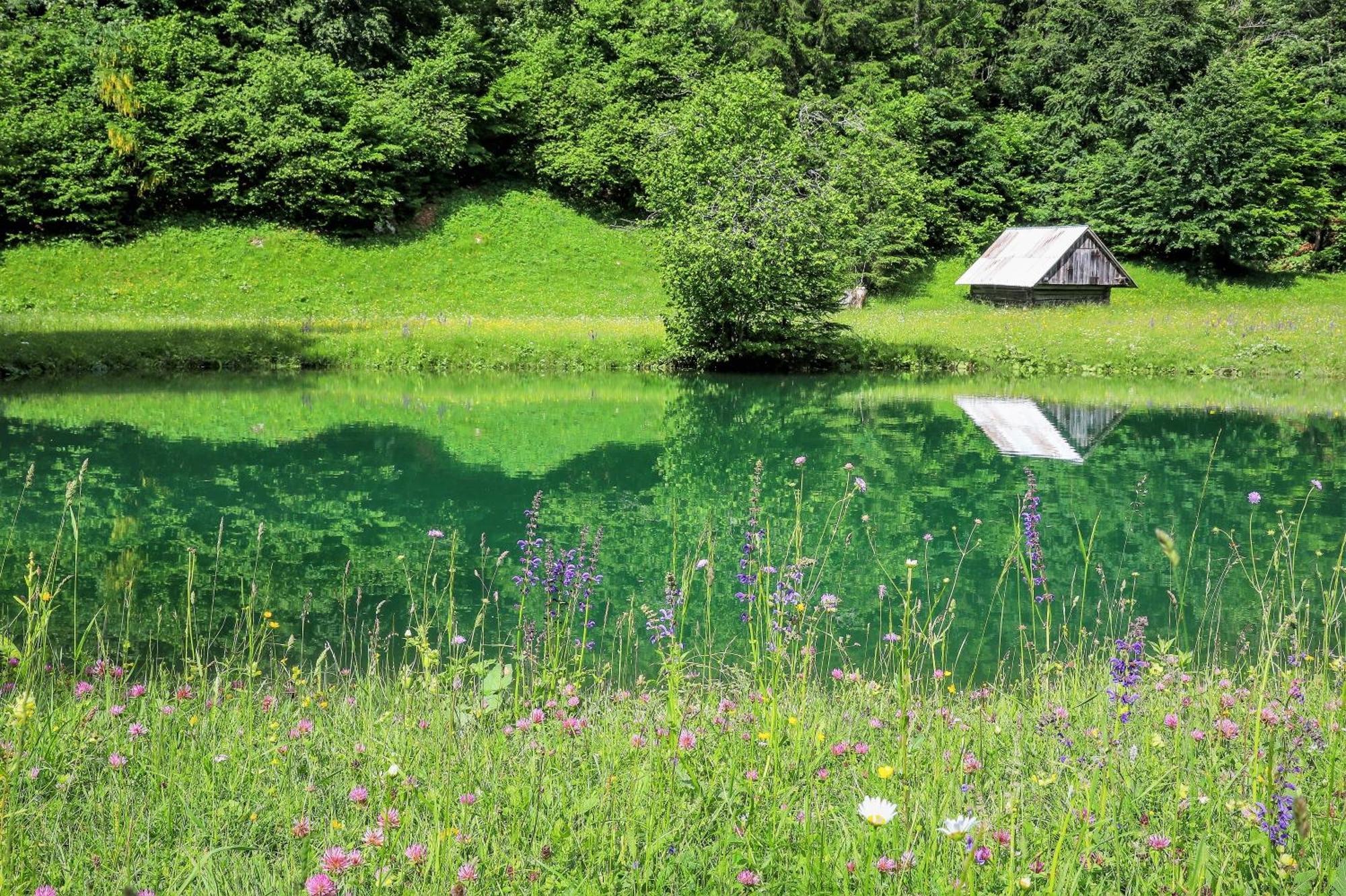 Cottage House Podgosar Bled Pokljuka 外观 照片
